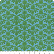 AMT Coneflower - Pool AMT Coneflower - Pool